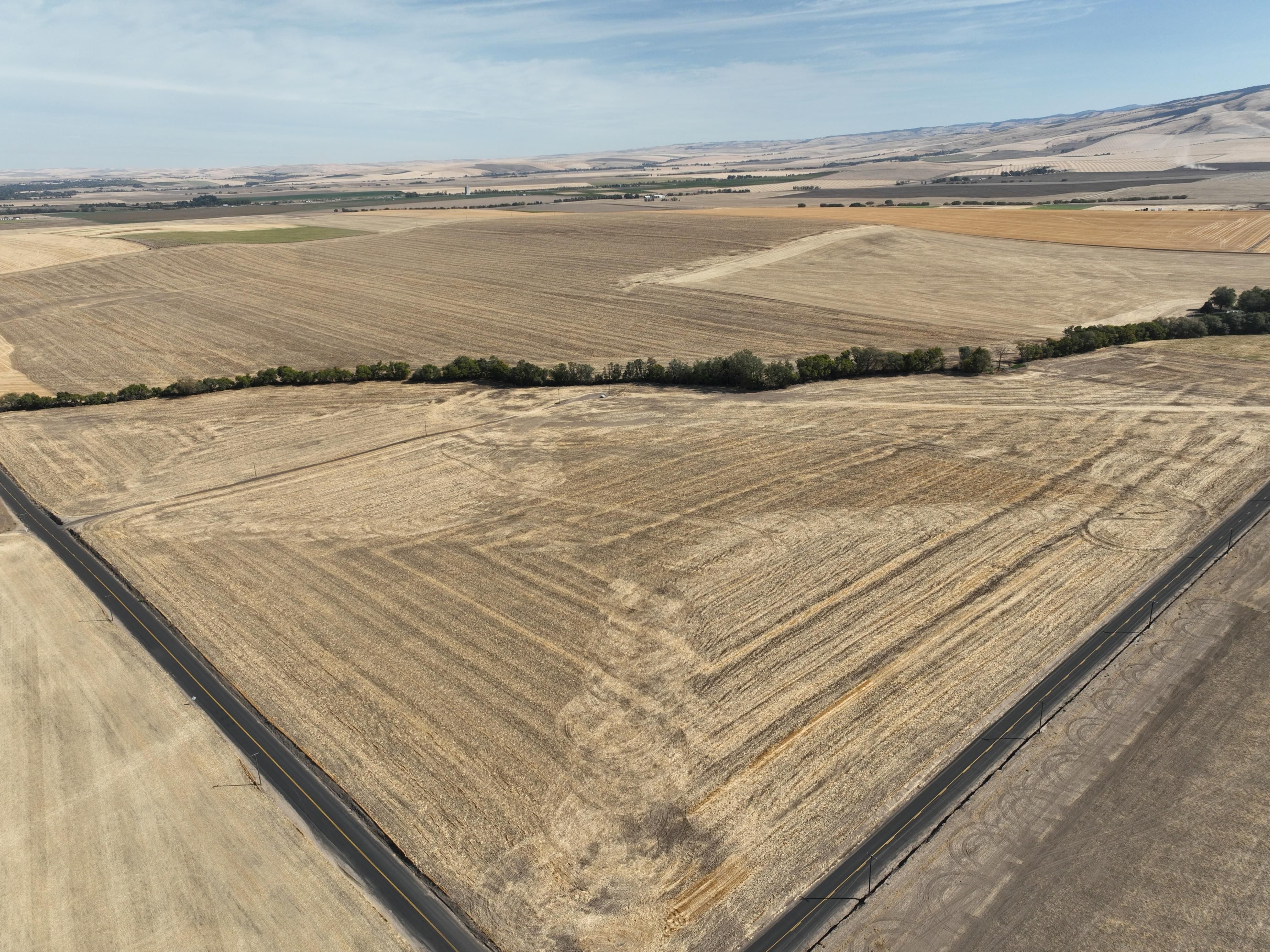 Listing Photo: Umatilla-County-Oregon-Non-Irrigtated-794-Acres (1)